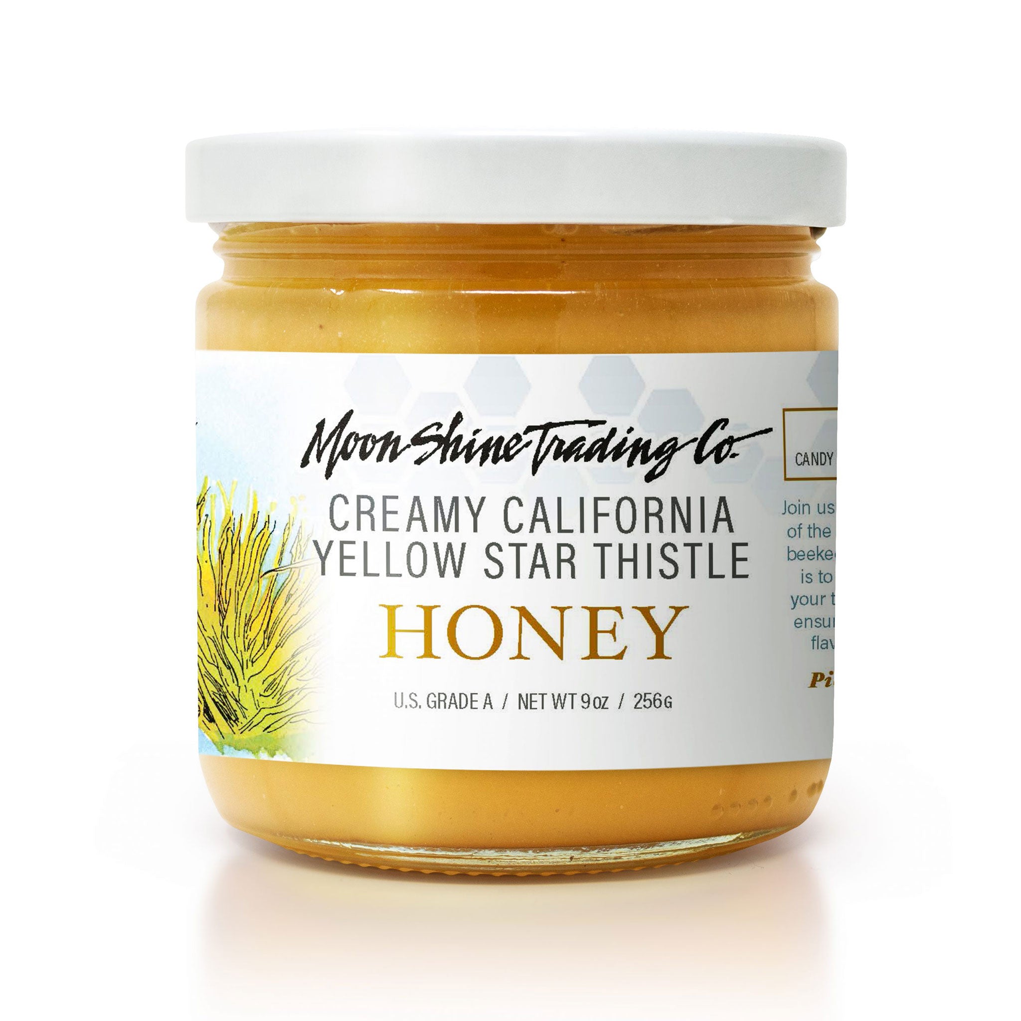 California Yellow Star Thistle Honey (Creamy)